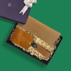 Brown leather clutch with a purple box on a green background