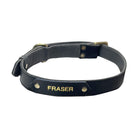 dog collar with name tag pet accessory with name tag