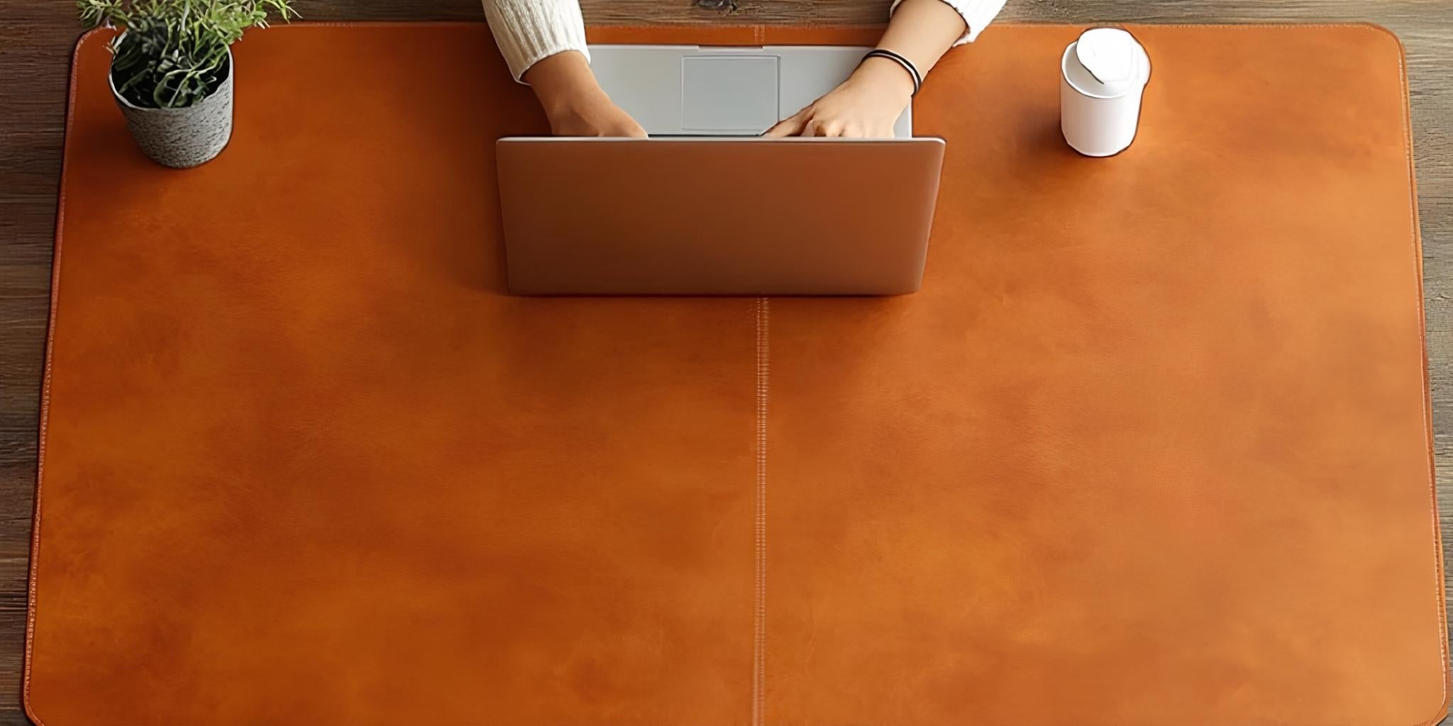 Person using a laptop on a large brown leather mat  with a plant and small container.